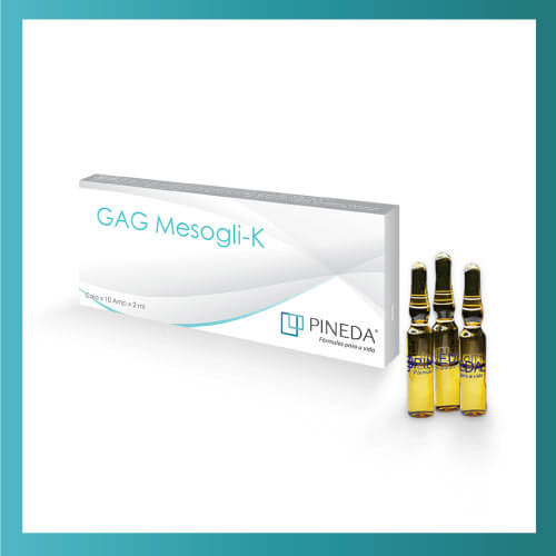 GAG Mesogli-k – Pineda