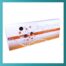 Stem Peptones Multi-Function Caja x 10 ampollas de 2ml - Denova